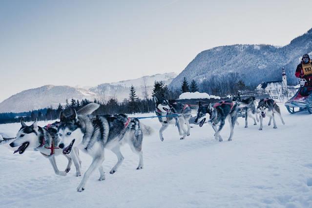Zu Hause In Tirol Villa Kirchbichl Exteriör bild